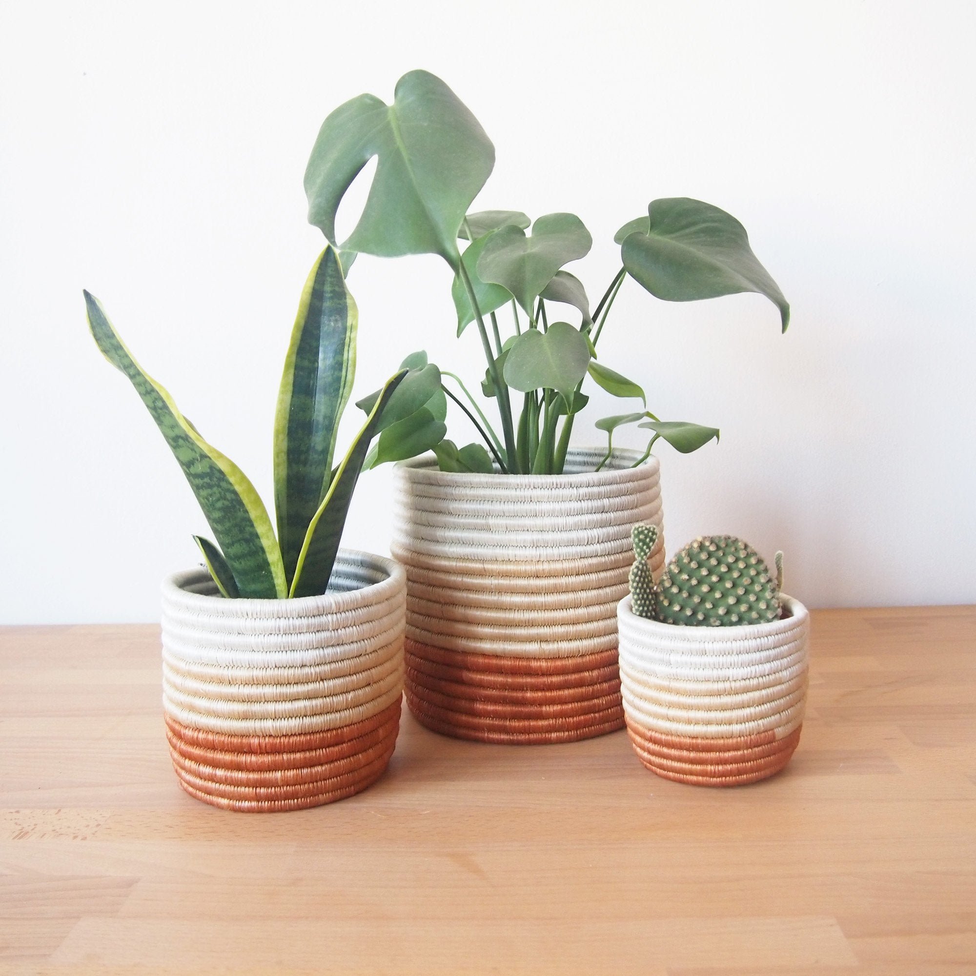 "JUJU" Woven Planter Basket