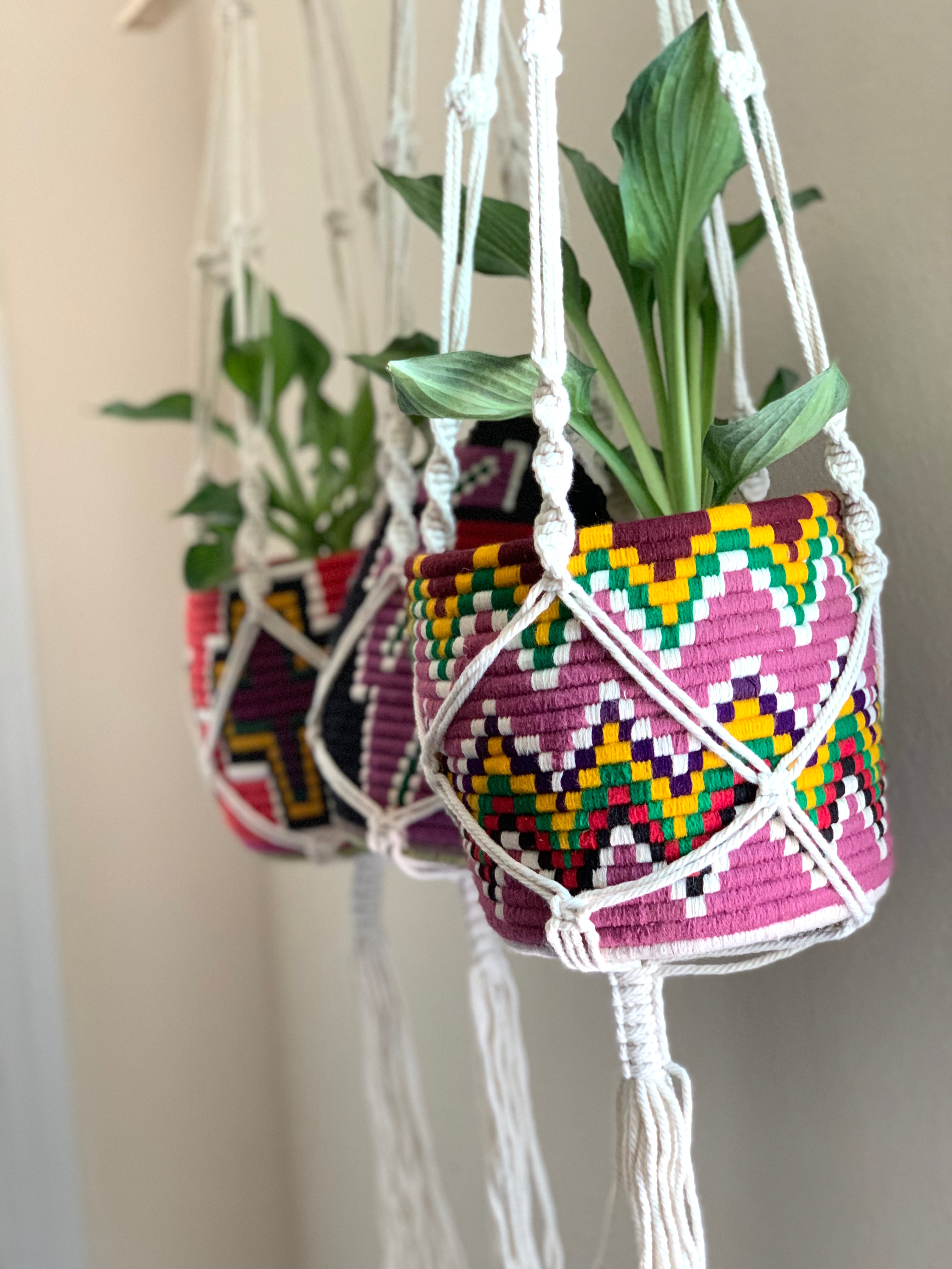 Macrame Plant Hanger