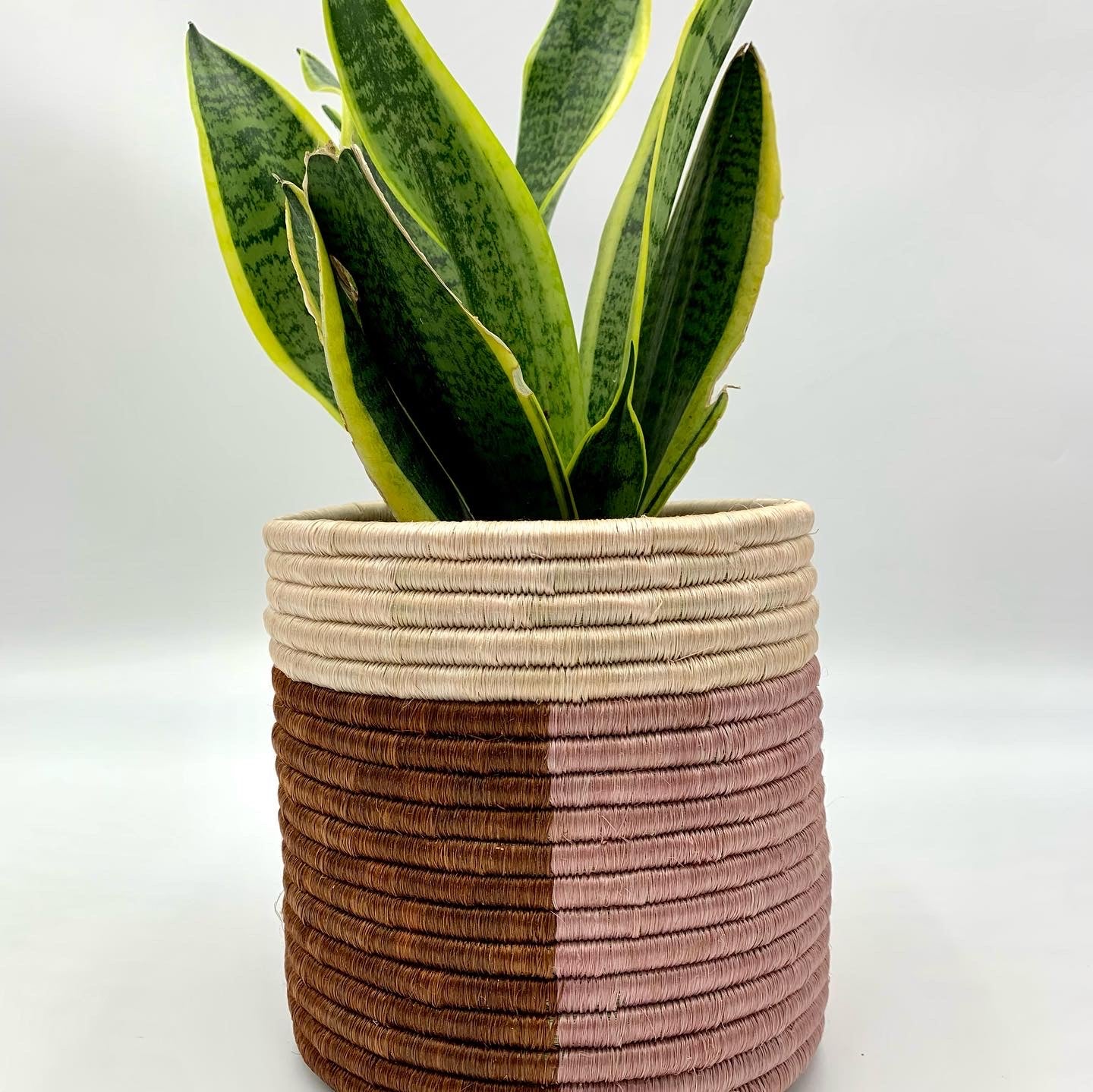 "MOMO" Woven Planter Basket