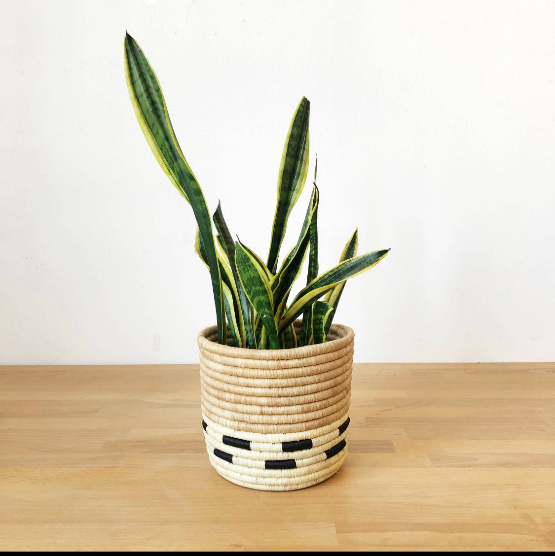 “AKEYO” Woven Planter Basket