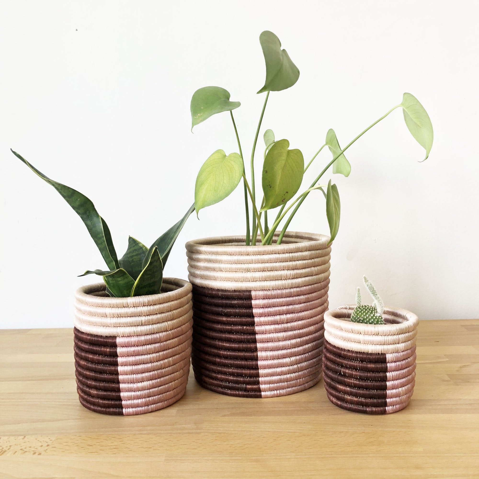 "MOMO" Woven Planter Basket